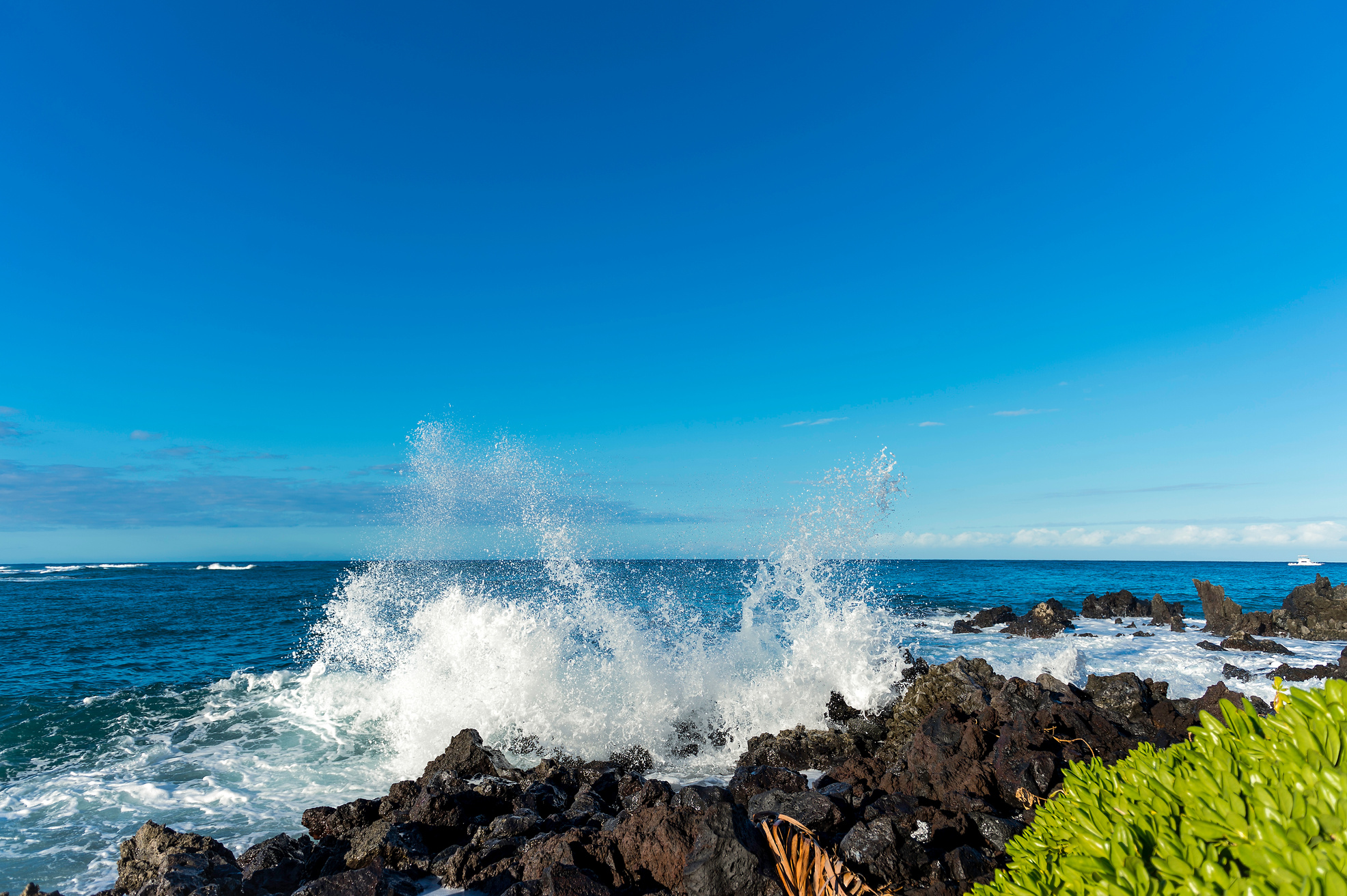 Kona Hawaii waves